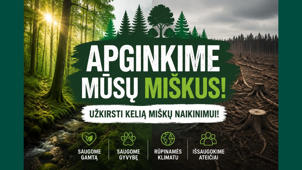 PETICIJA: DĖL LIETUVOS MIŠKŲ APSAUGOS, ŠALTINIŲ IŠSAUGOJIMO IR ŠIMTAMEČIŲ ĄŽUOLŲ KIRTIMO DRAUDIMO